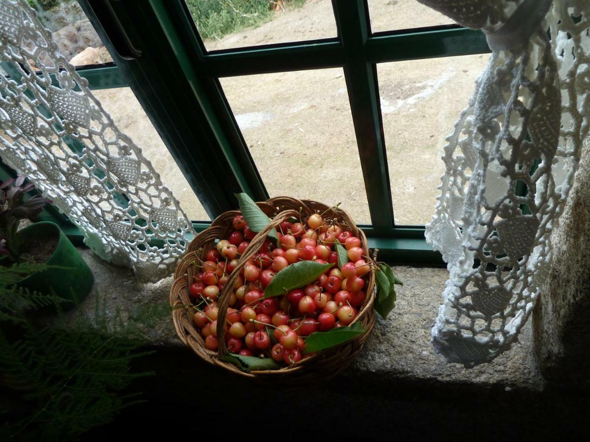 루고 Casa Do Pacio Sabadelle 아파트 외부 사진
